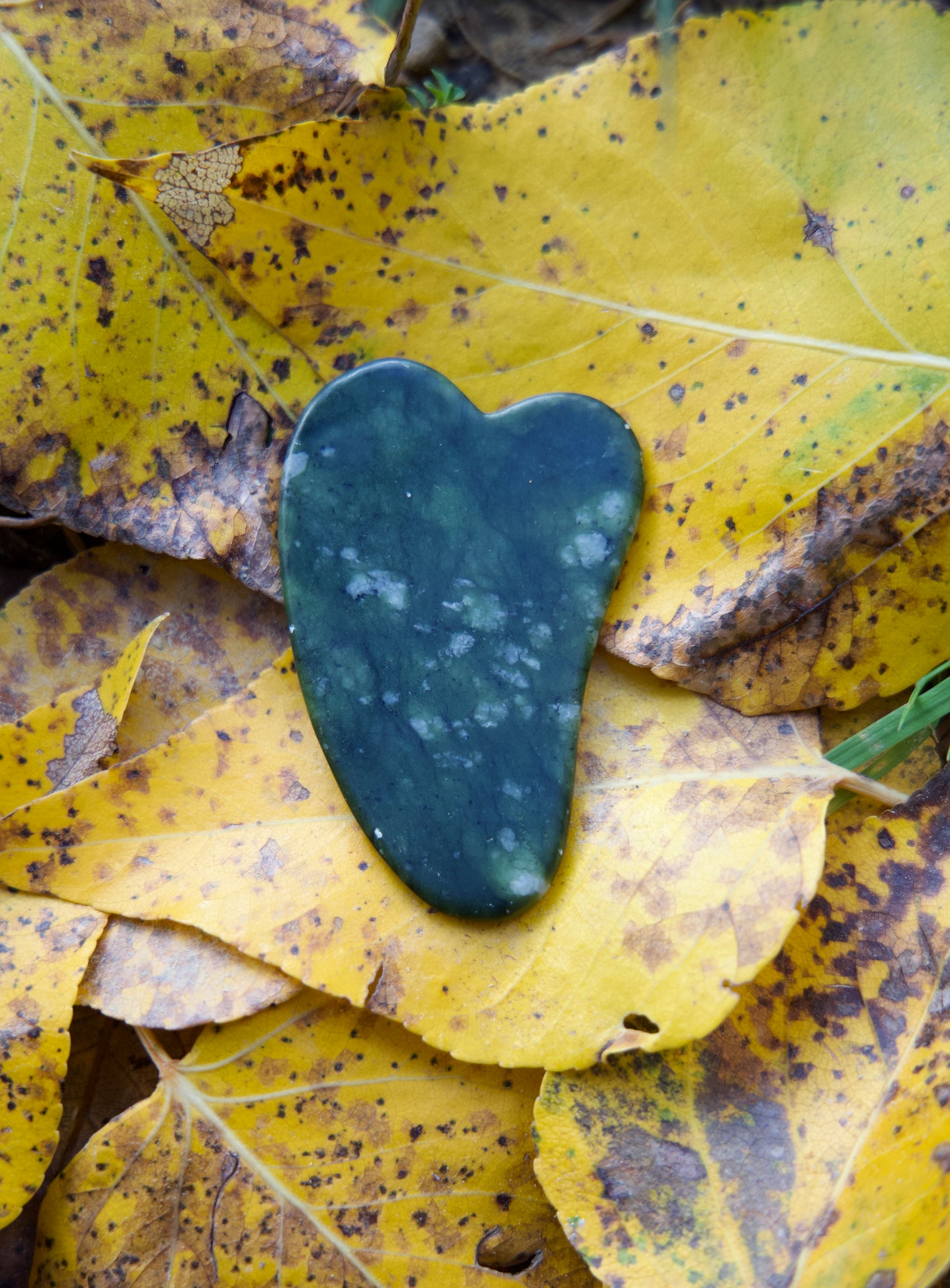 GUA SHA/ jade